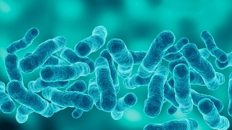 Evento informativo online sul rischio legionella – 7 novembre 2024