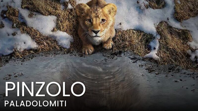 Cinema a Pinzolo: Programmazione film vacanze natalizie 2024/25