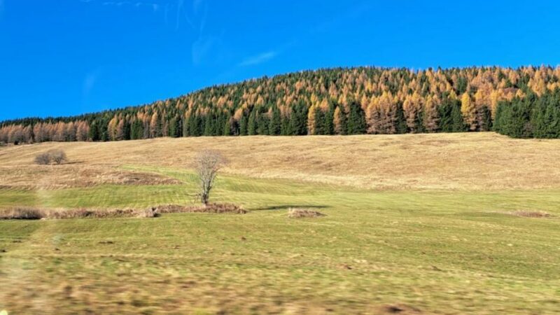 Novembre 2024, precipitazioni scarse e temperature superiori alla media