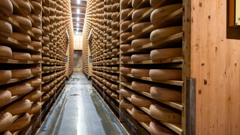 Formaggio Puzzone: caso di infezione intestinale di origine alimentare