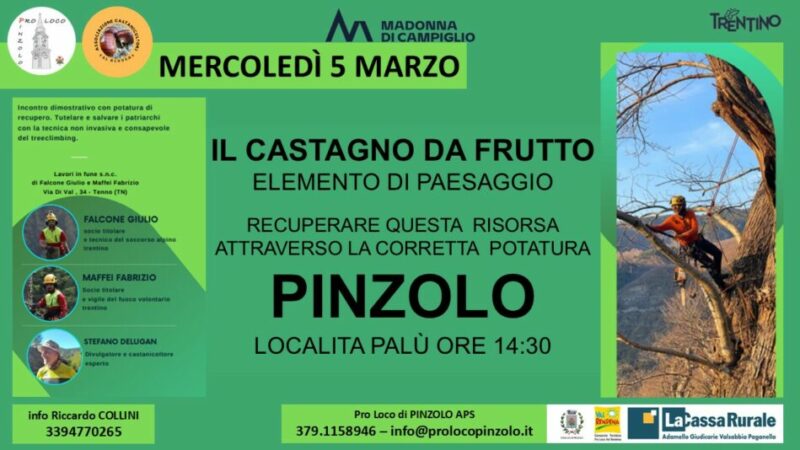 Pinzolo Loc. Palù Mercoledì 5 marzo ore 14.30 “Il castagno da frutto – Elemento di paesaggio”