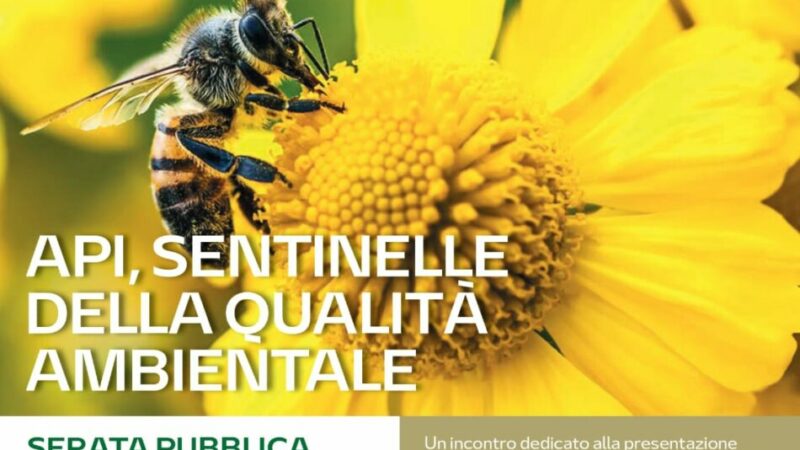 Pinzolo 20 febbraio ore 20.30: “Api, sentinelle della qualità ambientale”