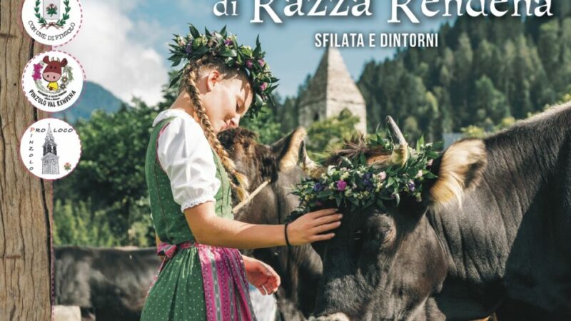 Giovenche di razza Rendena. Sfilata e… dintorni – dal 30 agosto al 6 settembre 2025