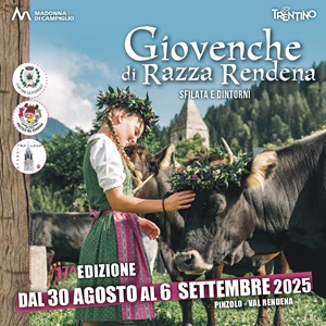 Giovenche di Razza Rendena 2025