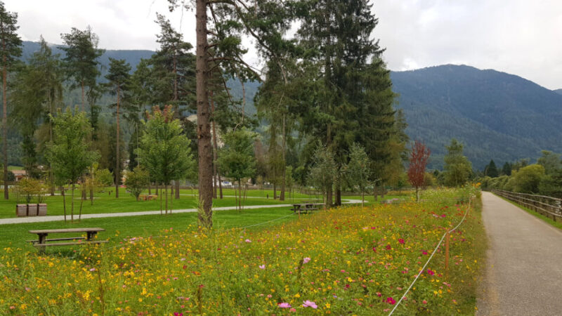 Pinzolo: Lettera di Giuseppe Ciaghi