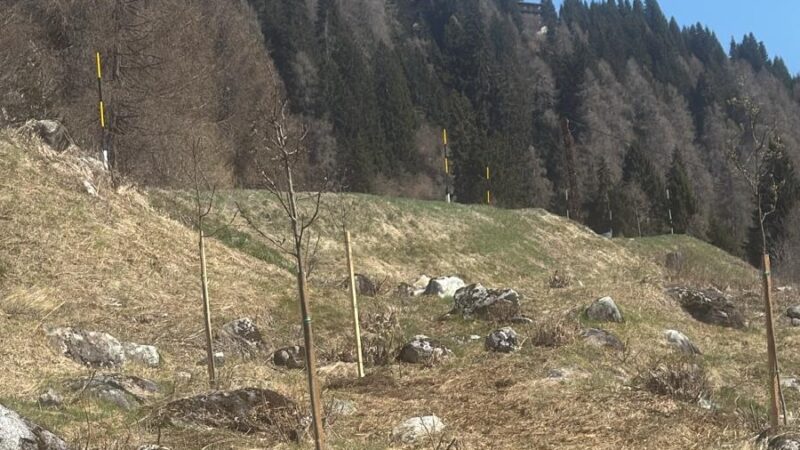 Un passo avanti per la biodiversità a Pinzolo 