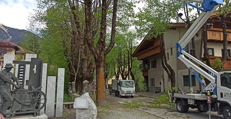 Pinzolo, al via i lavori di potatura dei tigli lungo corso Trento