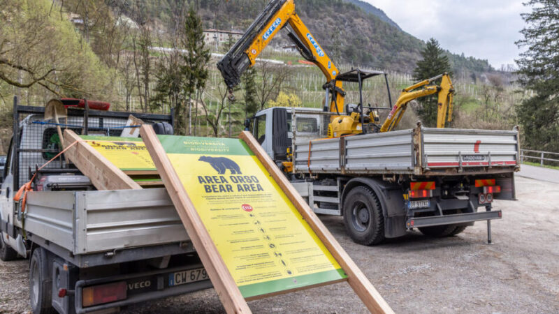 Orso, cartelloni informativi per gli escursionisti