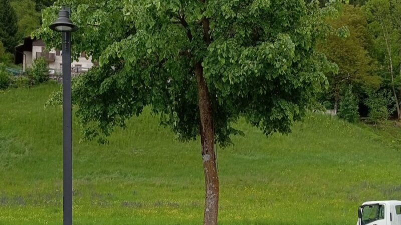 Pinzolo: è iniziata la potatura degli alberi anche lungo viale Bolognini