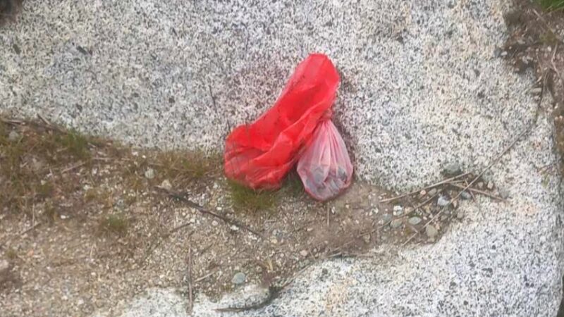 Scatti di m… di cane (e di proprietari incivili!)