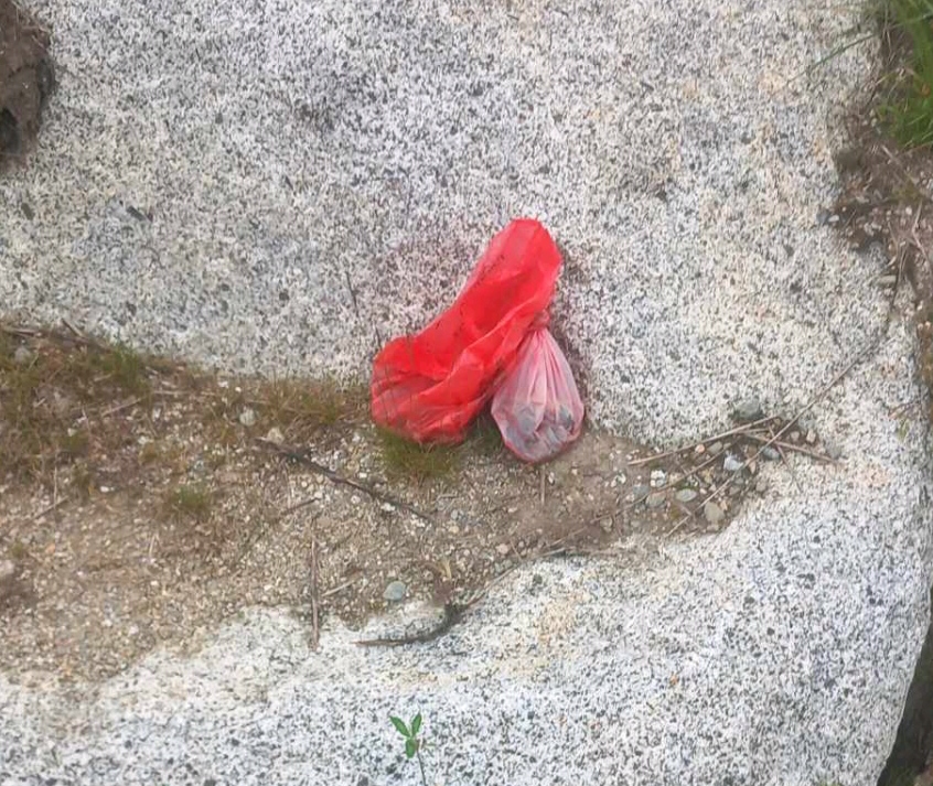 Scatti di m… di cane (e di proprietari incivili!)