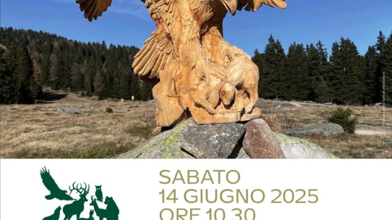 Inaugurazione del nuovo Junior Park Madonna di Campiglio – Sabato 14 giugno 2025 alle ore 10.30