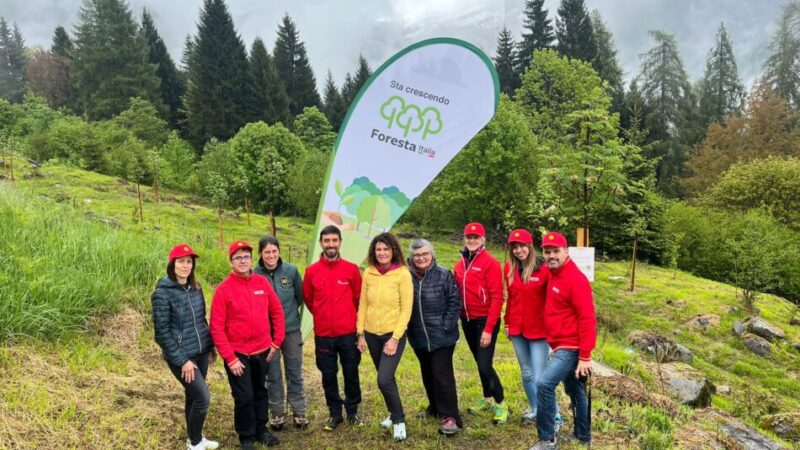 Una nuova area verde a Pinzolo | Conad-DAO rinnova la collaborazione con Rete Clima per la campagna “Forestiamo insieme l’Italia”