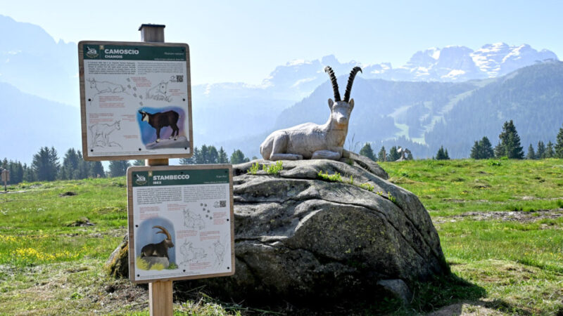 Junior Park: a Madonna di Campiglio un nuovo parco tematico per conoscere la fauna alpina