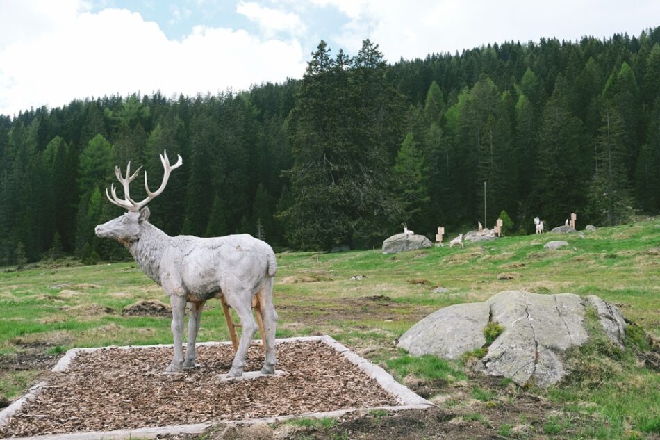 Junior Park a Madonna di Campiglio: sabato 14 giugno si inaugura il nuovo parco tematico dedicato alla fauna