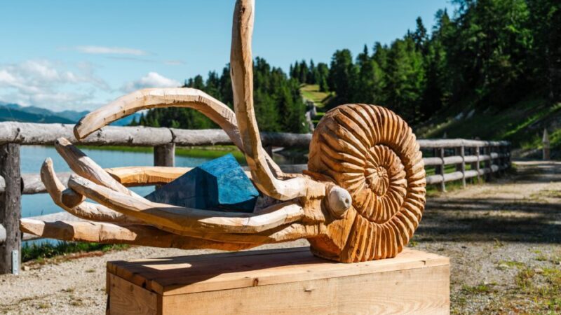 Pinzolo Doss del Sabion Sabato 2 agosto ore 16 Inaugurazione dell’Isola della Contemplazione e delle installazioni Ammoniti Fantastiche