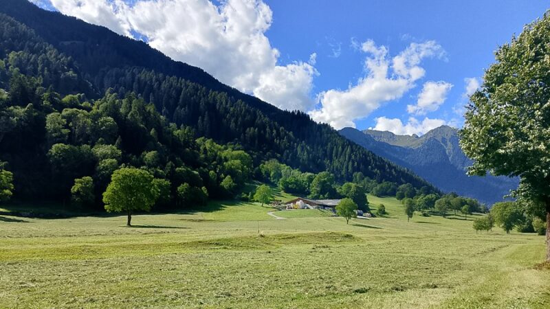 Nella Piana di Caderzone Terme, tra profumi di fieno e paesaggi intatti: un modello di sostenibilità alpina