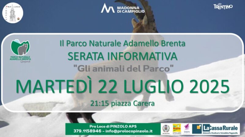Pro Loco Pinzolo: Martedì 22 luglio ore 20.15 Serata informativa PNAB “Gli animali del Parco”