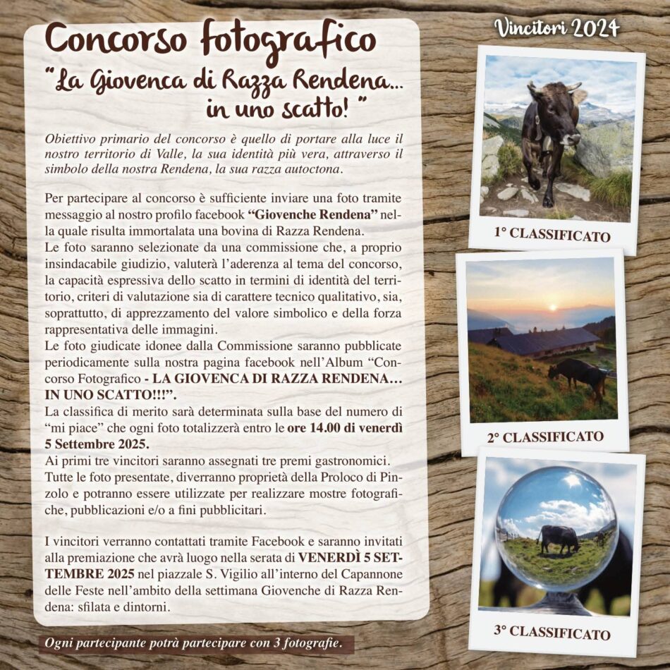 Giovenche di razza Rendena – Partecipa anche tu al concorso fotografico!