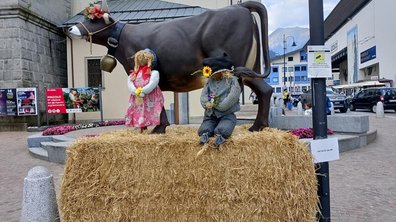Pinzolo si prepara alla 17ª edizione della “Giovenche di razza Rendena” e ai festeggiamenti della Banda Comunale