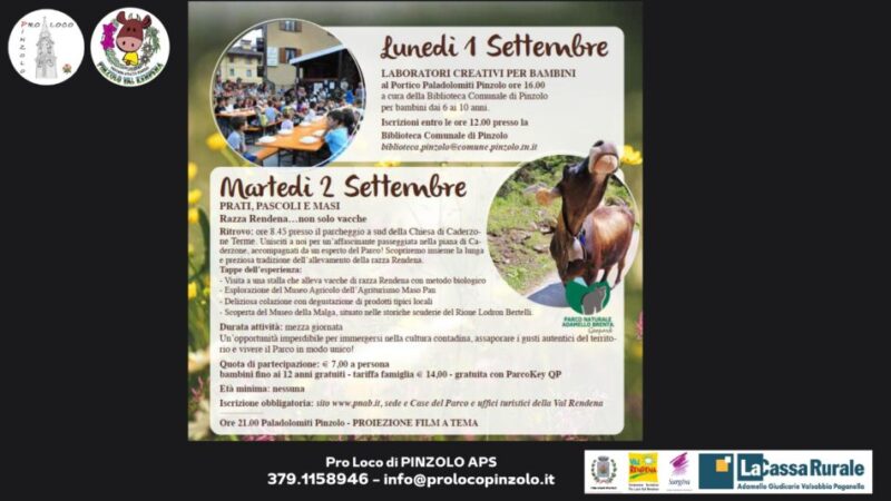 Giovenche di razza Rendena: Attività in programma lunedì 1° e martedì 2 settembre 2025