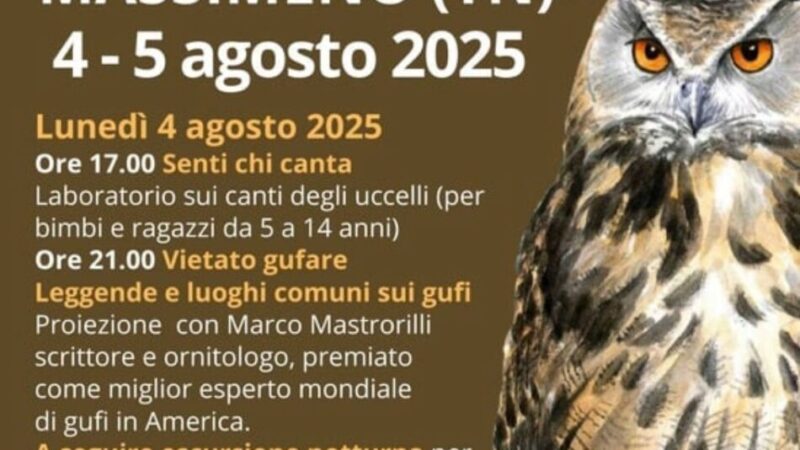 Massimeno 4-5 agosto “Giornata Mondiale del Gufo 2025”