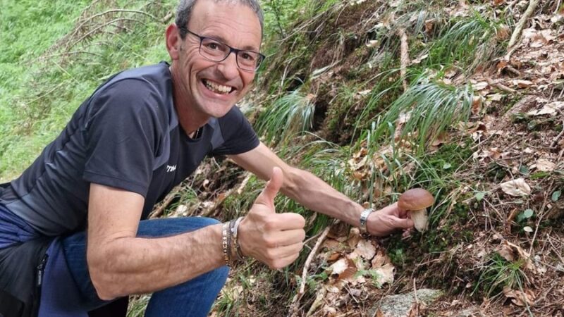 Raccolta funghi, il limite giornaliero passa da 2 a 3 chili a persona