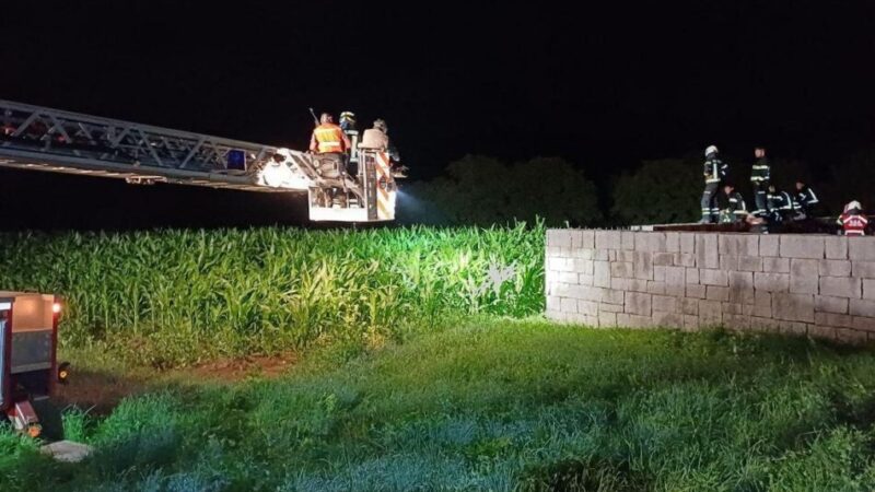 Borzago – Orsa investita sulla SS 239: trasportata al Casteller