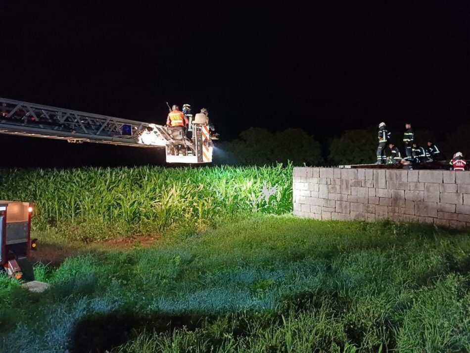 Borzago – Orsa investita sulla SS 239: trasportata al Casteller