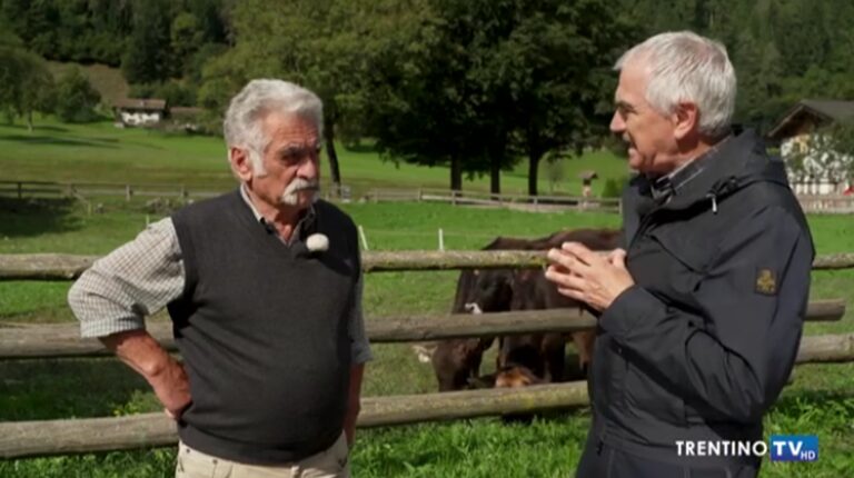 Puntata speciale di “BuonaAgricoltura” su TrentinoTV: protagoniste le Giovenche di razza Rendena e le api della valle