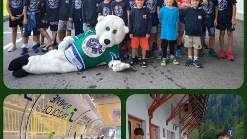 HOCKEY SUMMER CAMP 2025