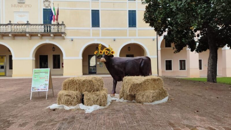 Antica Fiera Franca a Gazzo: protagonisti la tradizione e la razza Rendena