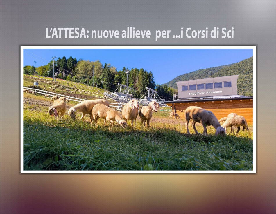 Transumanza a Bolbeno