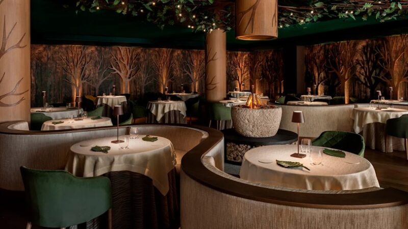 Guida MICHELIN Italia 2026: in Trentino otto ristoranti stellati, quattro solo nel Comune di Pinzolo