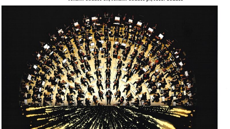 Pinzolo Paladolomiti Domenica 4 gennaio “Concerto di Capodanno” con l’orchesta Haydn