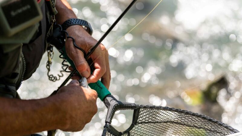 APERTURE ANTICIPATE E NUOVE OPPORTUNITÀ: PESCA 2026 TRA SARCA E CHIESE