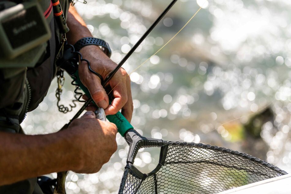 APERTURE ANTICIPATE E NUOVE OPPORTUNITÀ: PESCA 2026 TRA SARCA E CHIESE