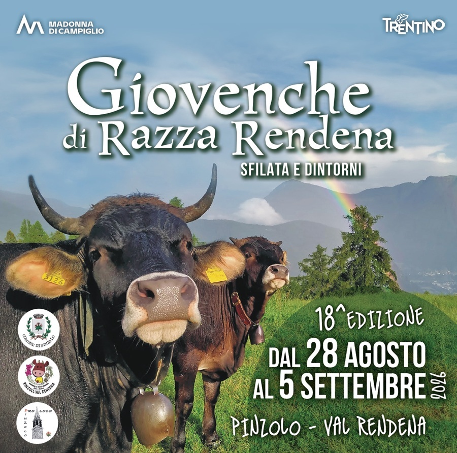 Giovenche di razza Rendena. Sfilata e… dintorni – dal 28 agosto al 5 settembre 2026