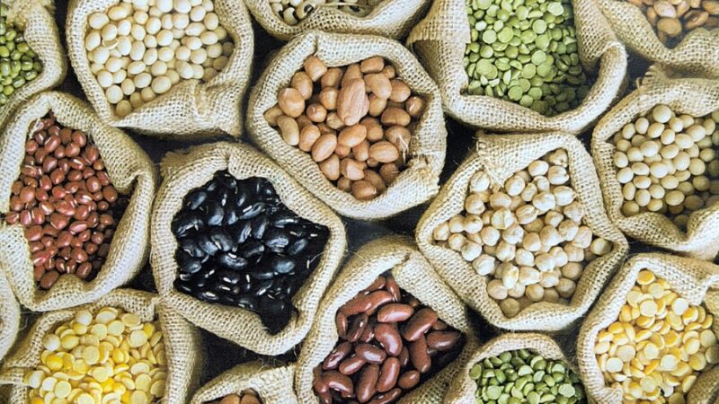 TIONE – “Chi semina raccoglie”: una giornata dedicata allo scambio delle sementi