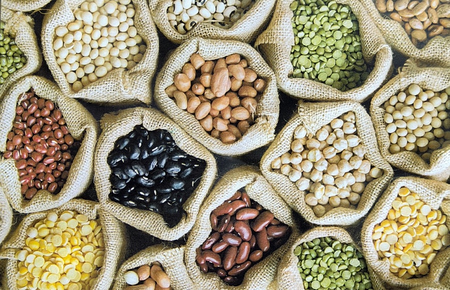 TIONE – “Chi semina raccoglie”: una giornata dedicata allo scambio delle sementi