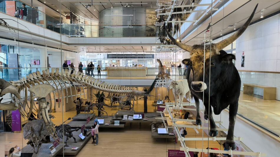 TRENTO –  Una giornata tra natura e scoperta