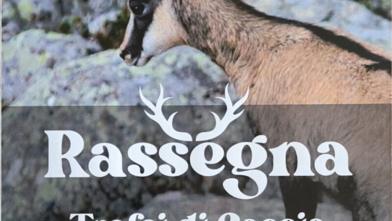 TIONE – Rassegna dei trofei di caccia, due giorni tra tradizione e territorio