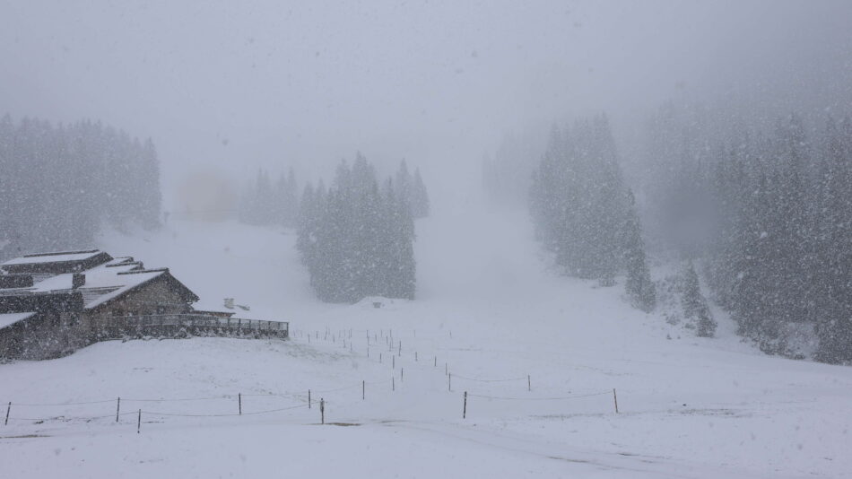 Skiarea Madonna di Campiglio: in quota è tornato l’inverno