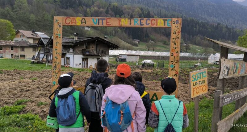 Ringraziamento Casa Vite Intrecciate – I.C. Val Rendena