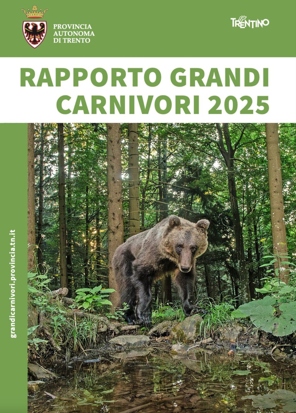 Pubblicato il “Rapporto grandi carnivori 2025”