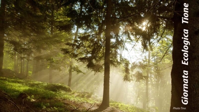 A Tione torna la “Giornata Ecologica 2026”: una mattinata dedicata all’ambiente e alla comunità