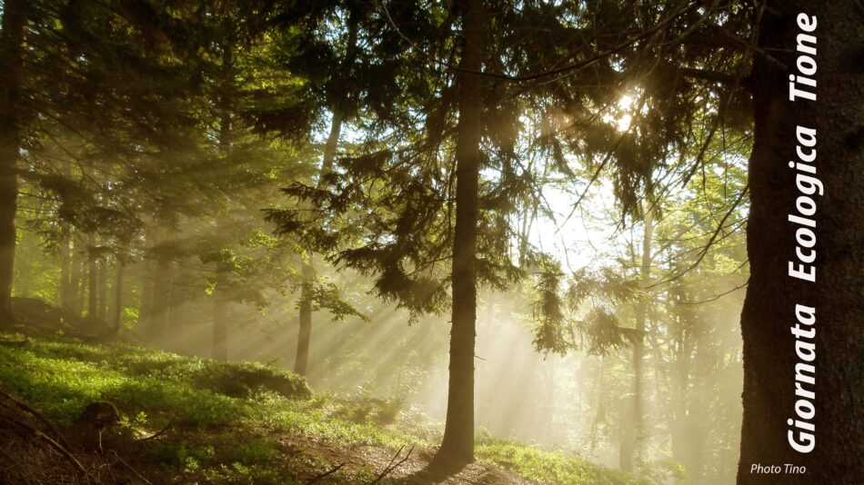 A Tione torna la “Giornata Ecologica 2026”: una mattinata dedicata all’ambiente e alla comunità