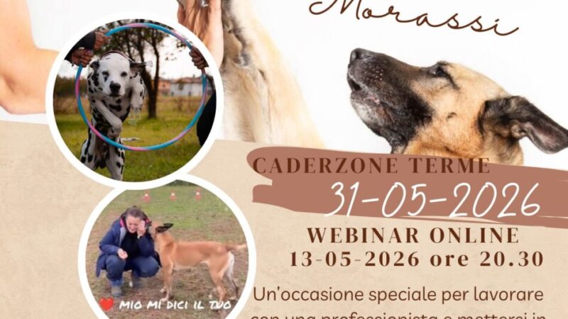 Caderzone Terme: Corso Clicker Training