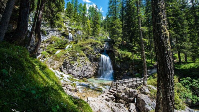 Chiusura strada di accesso alla Vallesinella per lavori di ripavimentazione della sede stradale