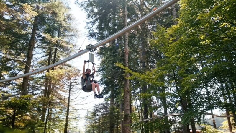 Pinzolo – Novità estate 2026: Forest Zipline a Prà Rodont